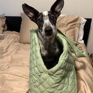 Quilted Green Dog Carrier